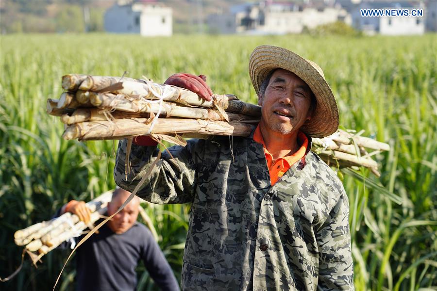 CHINA-SHAANXI-ANKANG-ECONOMY (CN)