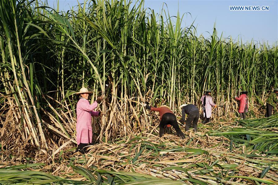 CHINA-SHAANXI-ANKANG-ECONOMY (CN)