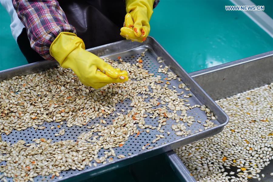 CHINA-SHAANXI-ANKANG-ECONOMY (CN)