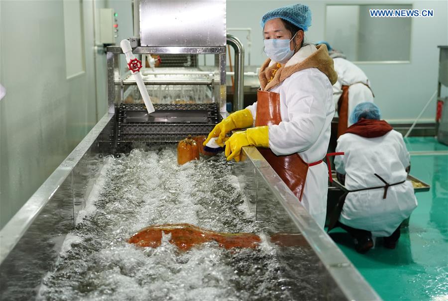 CHINA-SHAANXI-ANKANG-ECONOMY (CN)