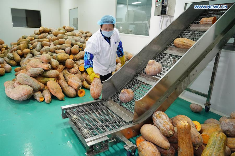 CHINA-SHAANXI-ANKANG-ECONOMY (CN)