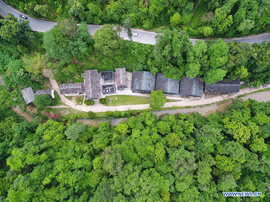 (FOCUS) CHINA-YUNNAN-XISHUANGBANNA-ASIAN ELEPHANT-CONSERVATION (CN)