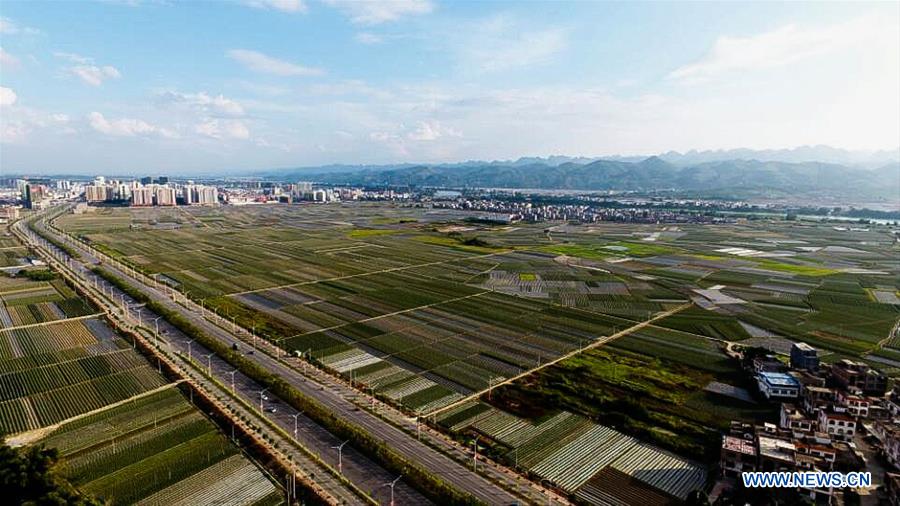 CHINA-GUANGXI-BAISE (CN)
