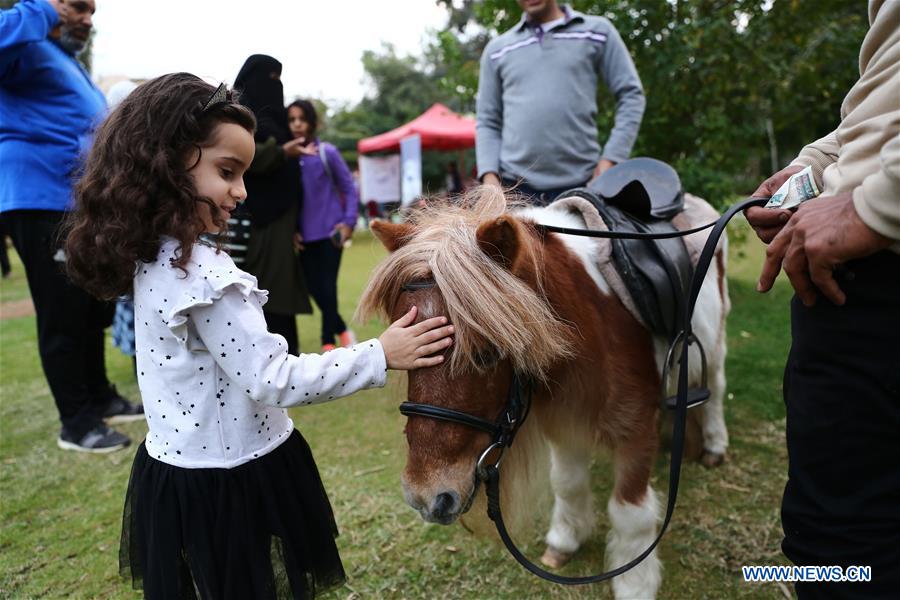 EGYPT-CAIRO-PET CARNIVAL