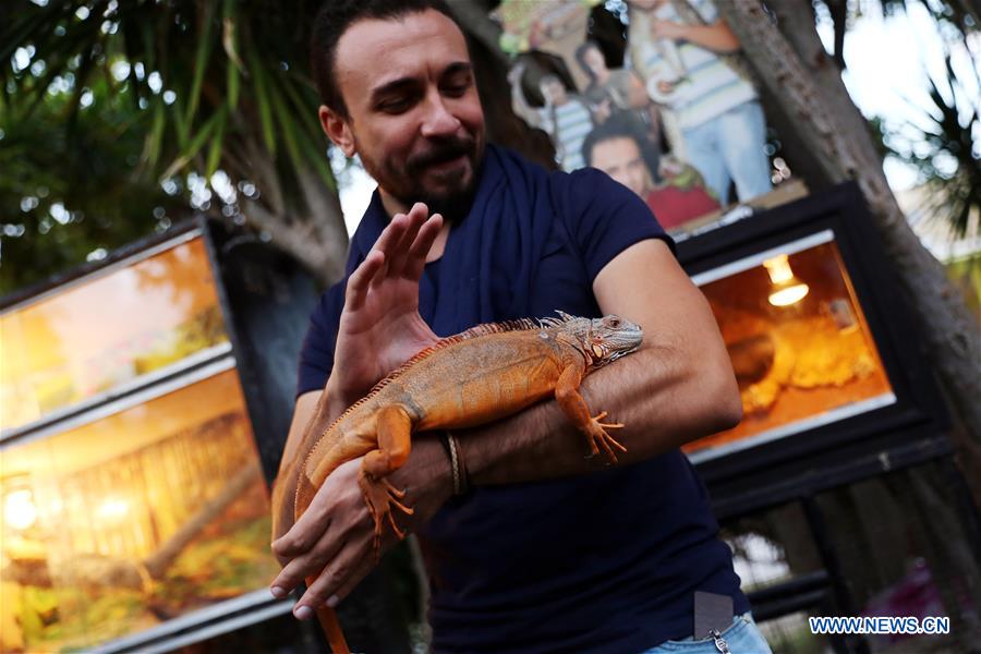 EGYPT-CAIRO-PET CARNIVAL