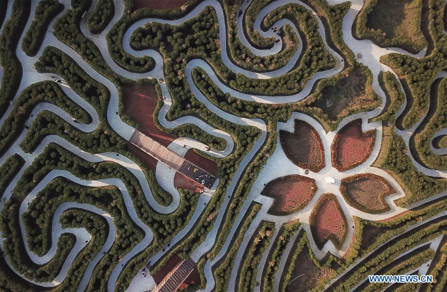 CHINA-ANHUI-HEFEI-WEEKEND-DAILY LIFE (CN)