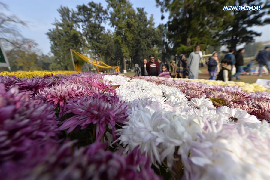 PAKISTAN-ISLAMABAD-CHRYSANTHEMUM-SHOW