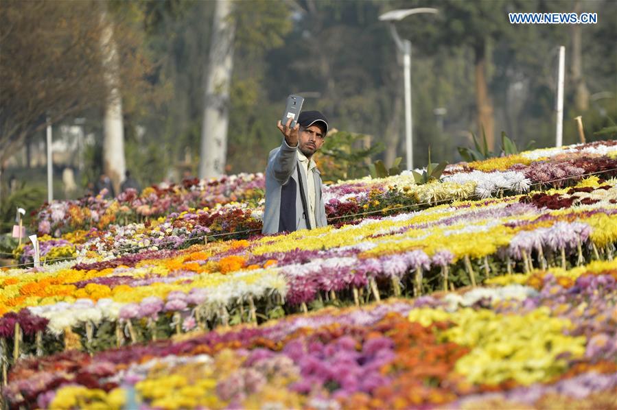 PAKISTAN-ISLAMABAD-CHRYSANTHEMUM-SHOW