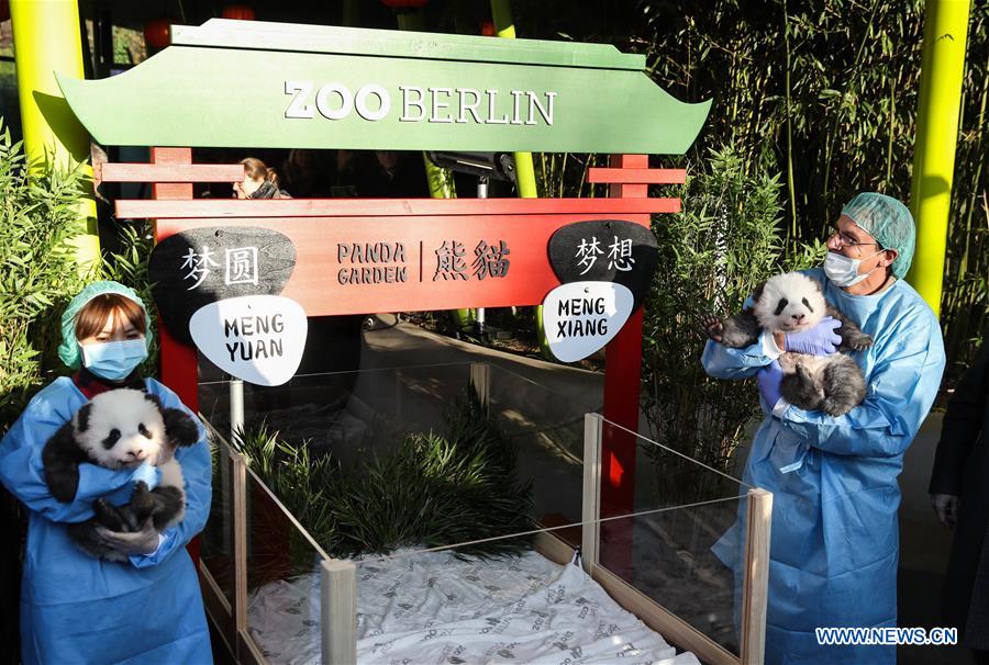 GERMANY-BERLIN-TWIN PANDA NEWBORNS-NAMES