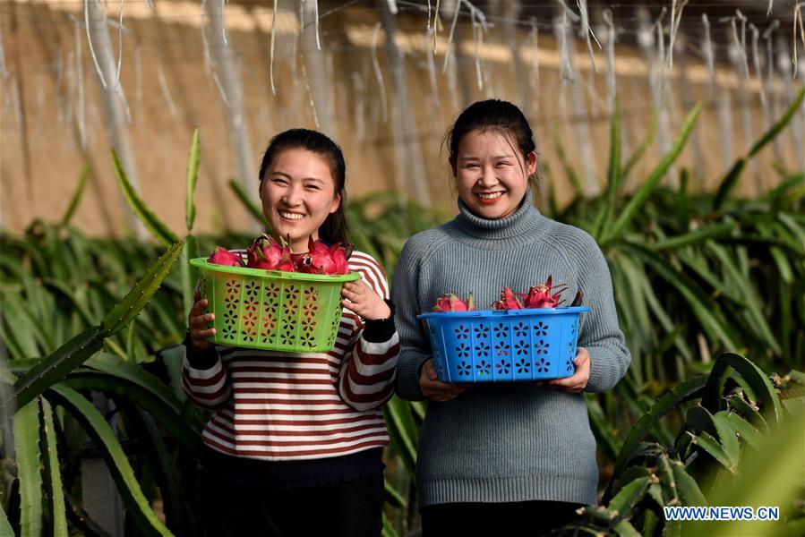 CHINA-HEBEI-MODERN AGRICULTURAL ZONE (CN)