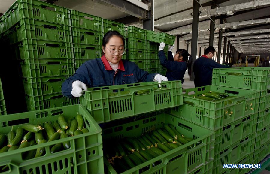 CHINA-HEBEI-MODERN AGRICULTURAL ZONE (CN)