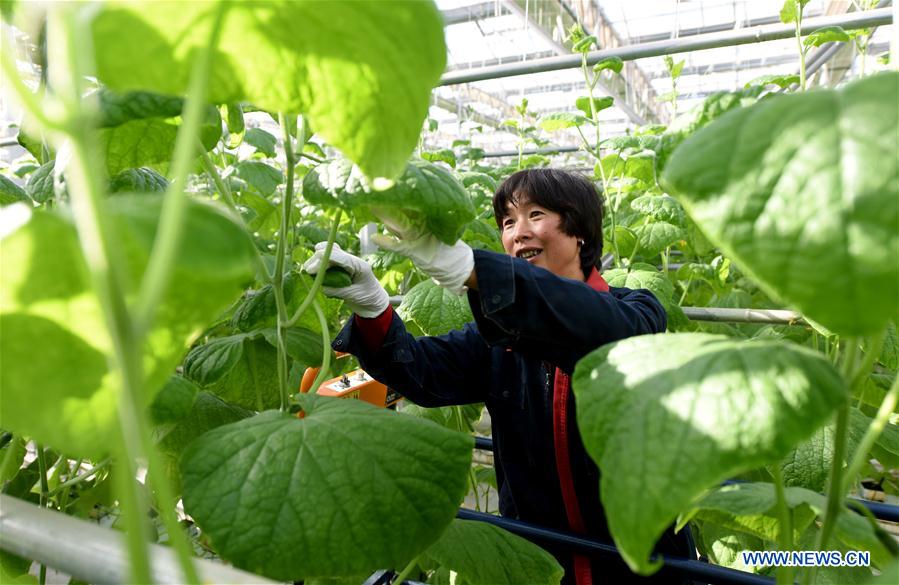 CHINA-HEBEI-MODERN AGRICULTURAL ZONE (CN)