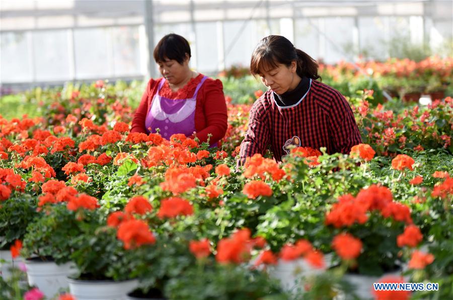 CHINA-HEBEI-MODERN AGRICULTURAL ZONE (CN)