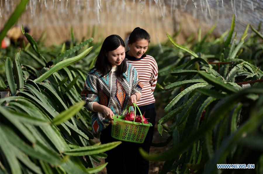 CHINA-HEBEI-MODERN AGRICULTURAL ZONE (CN)