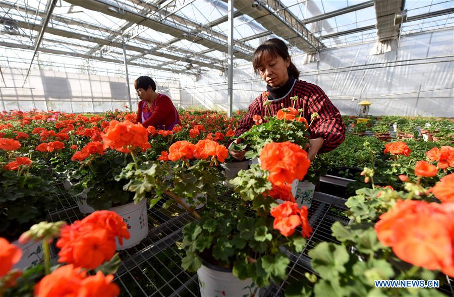 CHINA-HEBEI-MODERN AGRICULTURAL ZONE (CN)