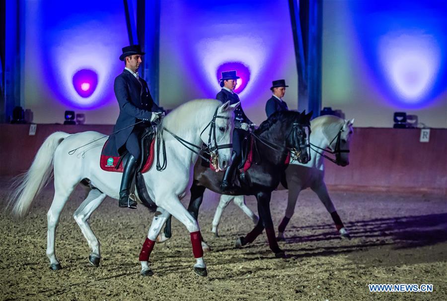 CROATIA-DAKOVO-LIPIZZANER CHRISTMAS BALL