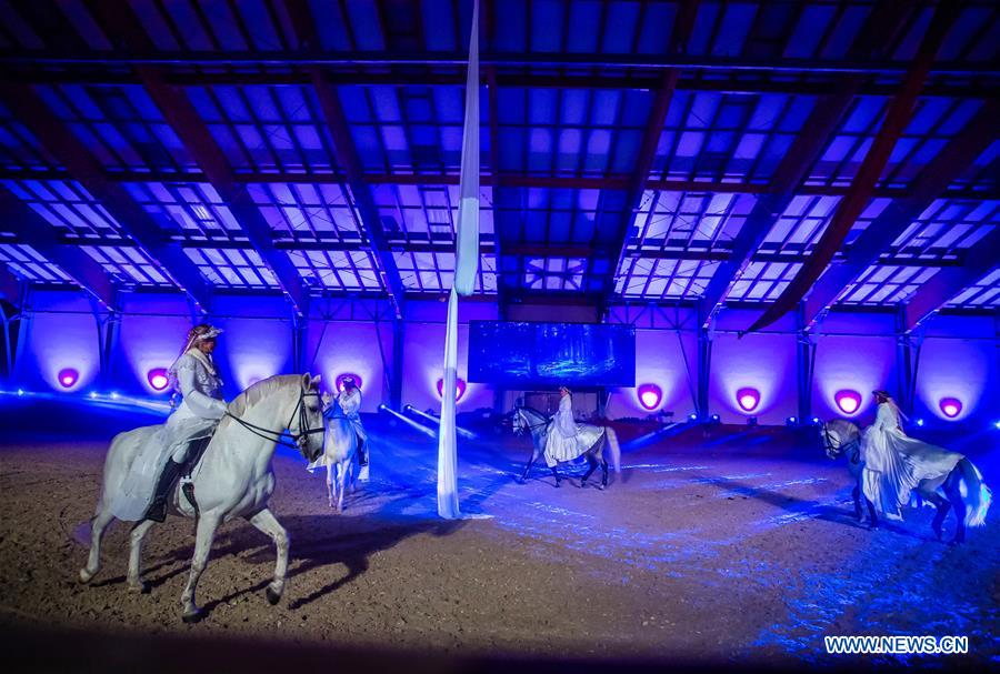 CROATIA-DAKOVO-LIPIZZANER CHRISTMAS BALL