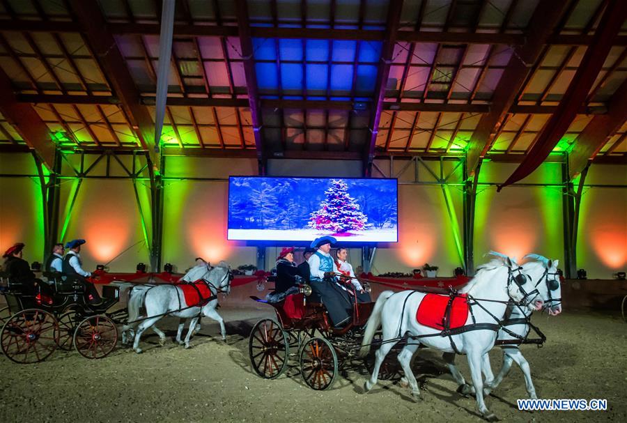 CROATIA-DAKOVO-LIPIZZANER CHRISTMAS BALL