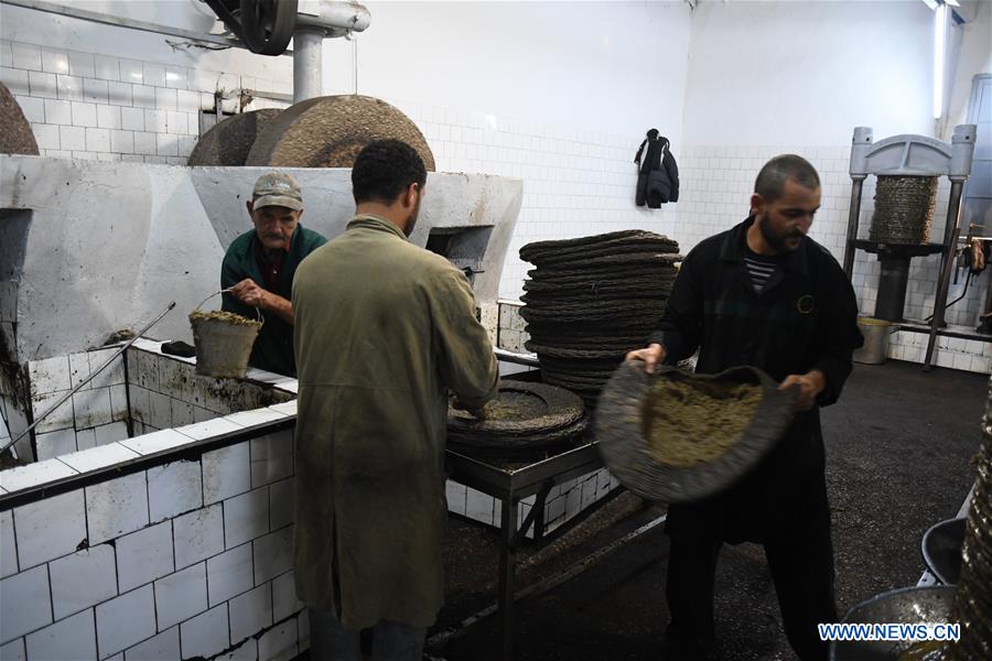 TUNISIA-TUNIS-OLIVE OIL-PRODUCTION