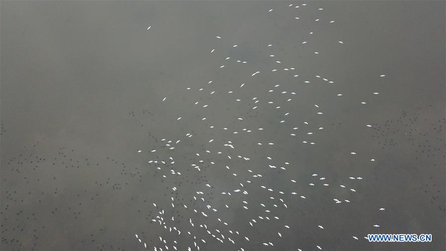 XINHUA PHOTOS OF THE DAY