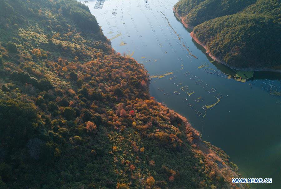 CHINA-FUJIAN-WINTER-SCENERY(CN)