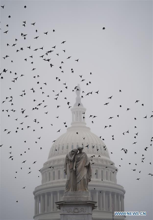 U.S.-WASHINGTON D.C.-CAPITOL HILL-TRUMP-IMPEACHMENT