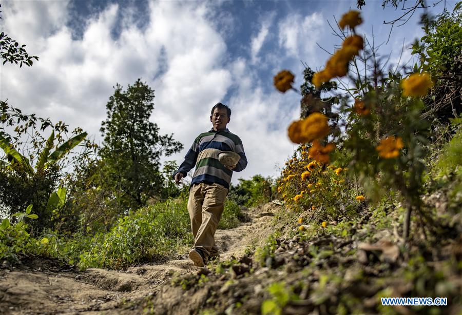 CHINA-YUNNAN-SANHE-BIRD WATCHING-POVERTY ALLEVIATION (CN)