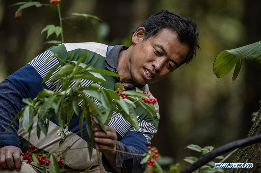 CHINA-YUNNAN-SANHE-BIRD WATCHING-POVERTY ALLEVIATION (CN)