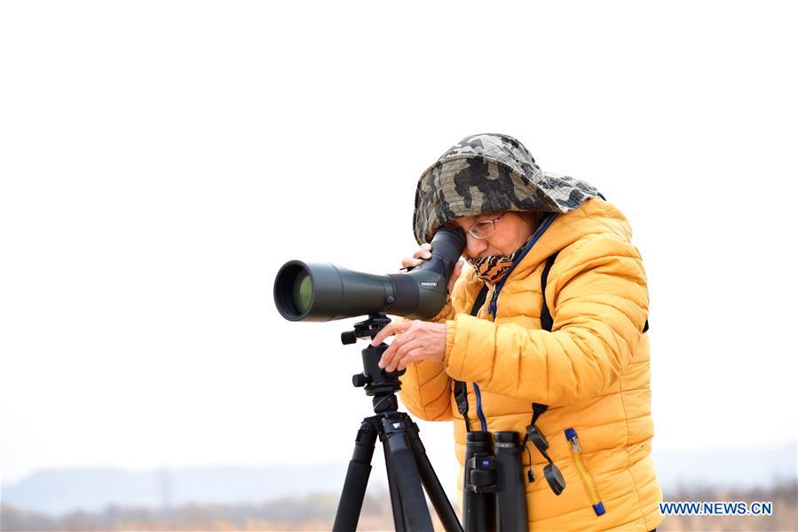 CHINA-HENAN-LUOYANG-YELLOW RIVER-WETLAND-PROTECTION (CN)