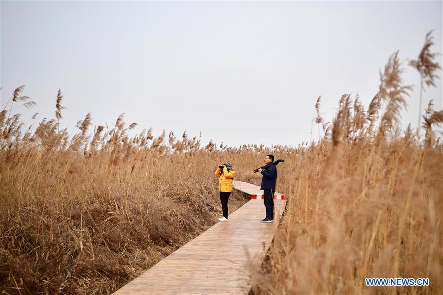 CHINA-HENAN-LUOYANG-YELLOW RIVER-WETLAND-PROTECTION (CN)
