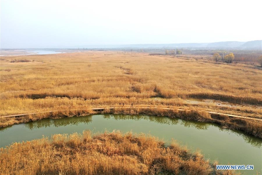 CHINA-HENAN-LUOYANG-YELLOW RIVER-WETLAND-PROTECTION (CN)