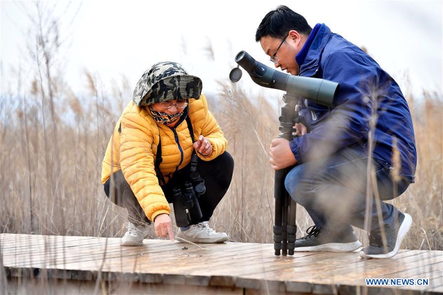 CHINA-HENAN-LUOYANG-YELLOW RIVER-WETLAND-PROTECTION (CN)