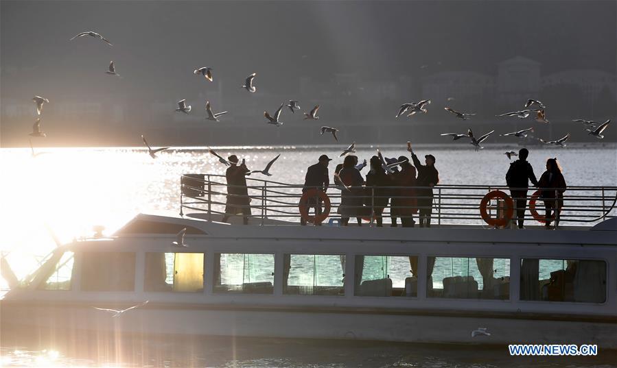 CHINA-YUNNAN-KUNMING-GULL (CN)