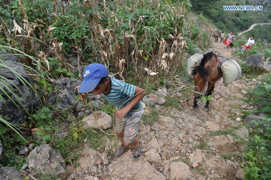 CHINA-GUANGXI-DAHUA-POVERTY ALLEVIATION (CN)