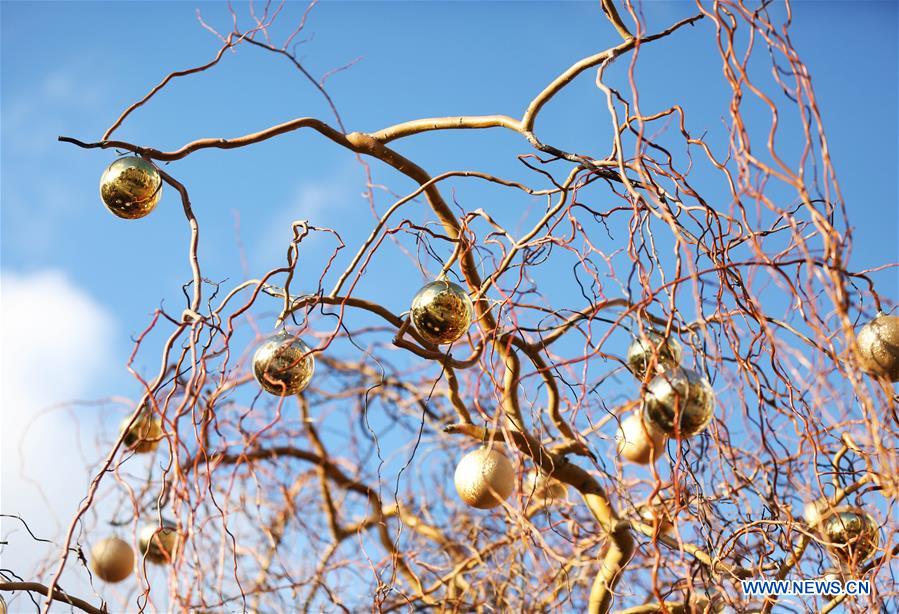 FRANCE-PARIS-CITY HALL-CHRISTMAS DECORATIONS