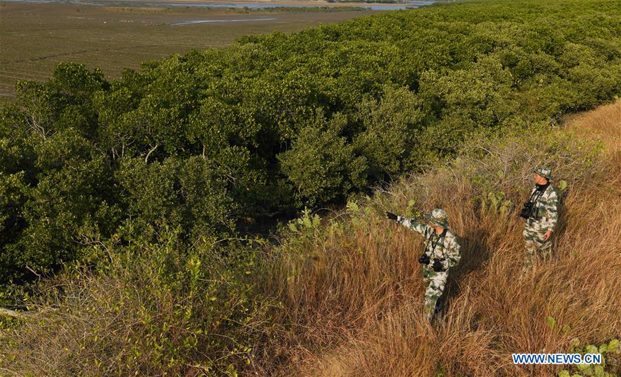 CHINA-HAINAN-MANGROVE RESERVE-GRASSROOT PERSONNEL(CN)