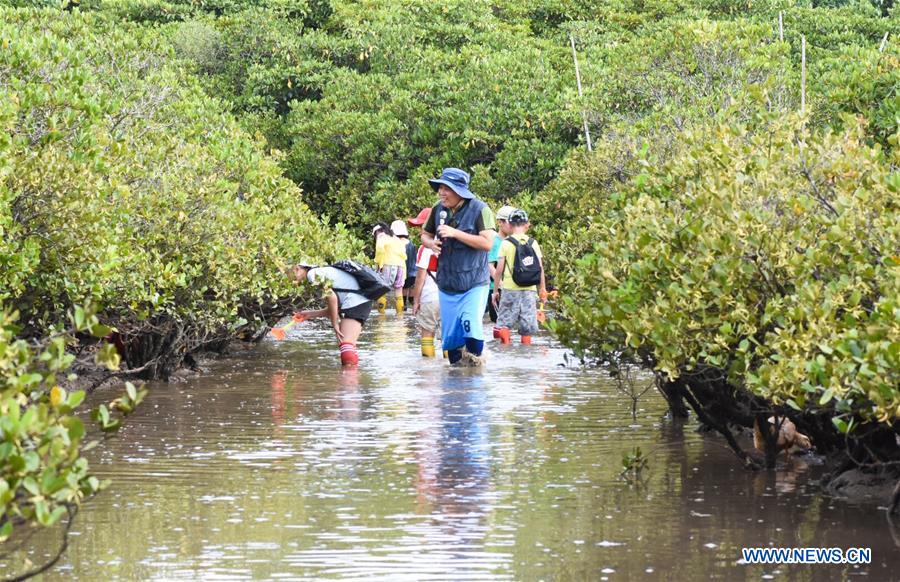 CHINA-HAINAN-MANGROVE RESERVE-GRASSROOT PERSONNEL(CN)