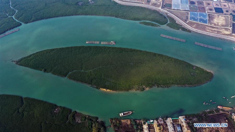 CHINA-GUANGXI-LIANZHOU BAY (CN)