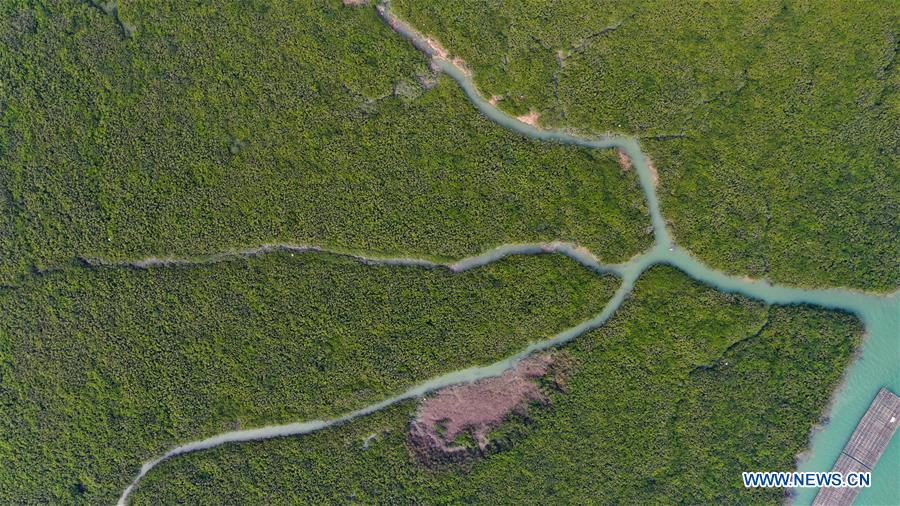 CHINA-GUANGXI-LIANZHOU BAY (CN)