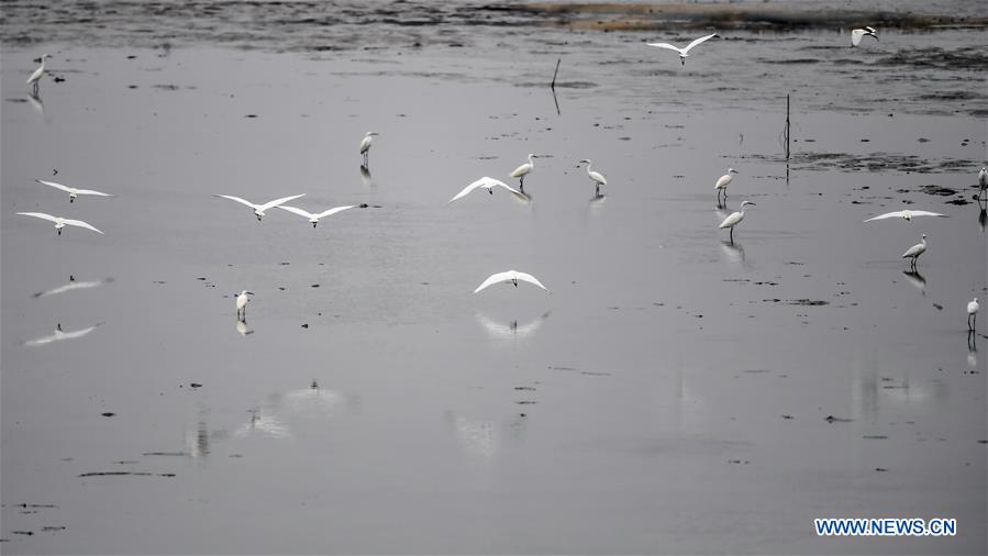 CHINA-GUANGXI-LIANZHOU BAY (CN)