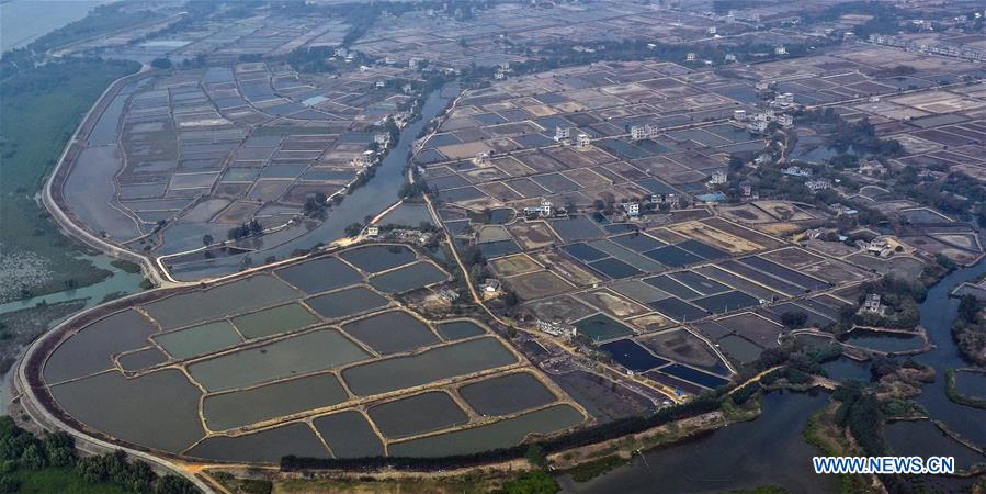 CHINA-GUANGXI-LIANZHOU BAY (CN)