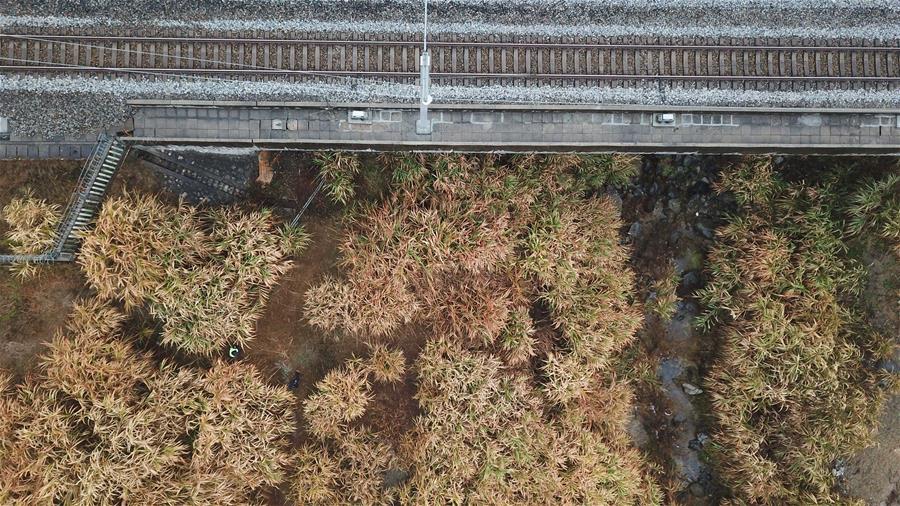 CHINA-ANHUI-JINZHAI-RAILWAY POLICEMAN (CN)
