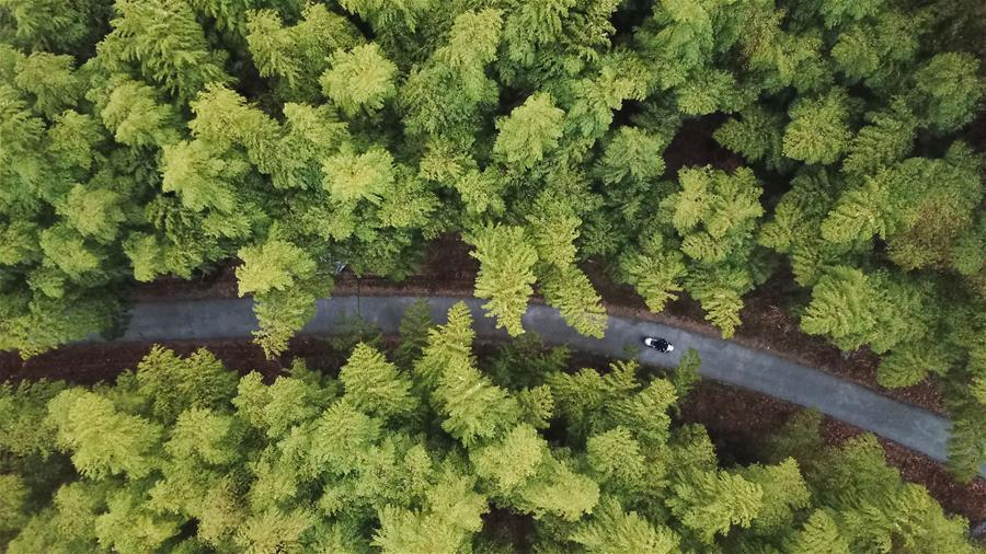 CHINA-ANHUI-JINZHAI-RAILWAY POLICEMAN (CN)