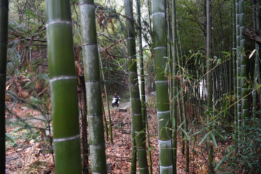 CHINA-ANHUI-JINZHAI-RAILWAY POLICEMAN (CN)