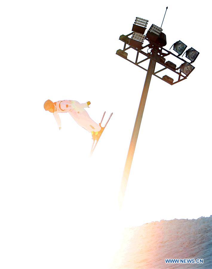 (SP)CHINA-CHANGCHUN-FREESTYLE SKI-AERIAL WORLD CUP-MEN'S FINAL(CN)