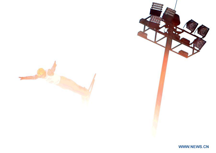 (SP)CHINA-CHANGCHUN-FREESTYLE SKI-AERIAL WORLD CUP-MEN'S FINAL(CN)