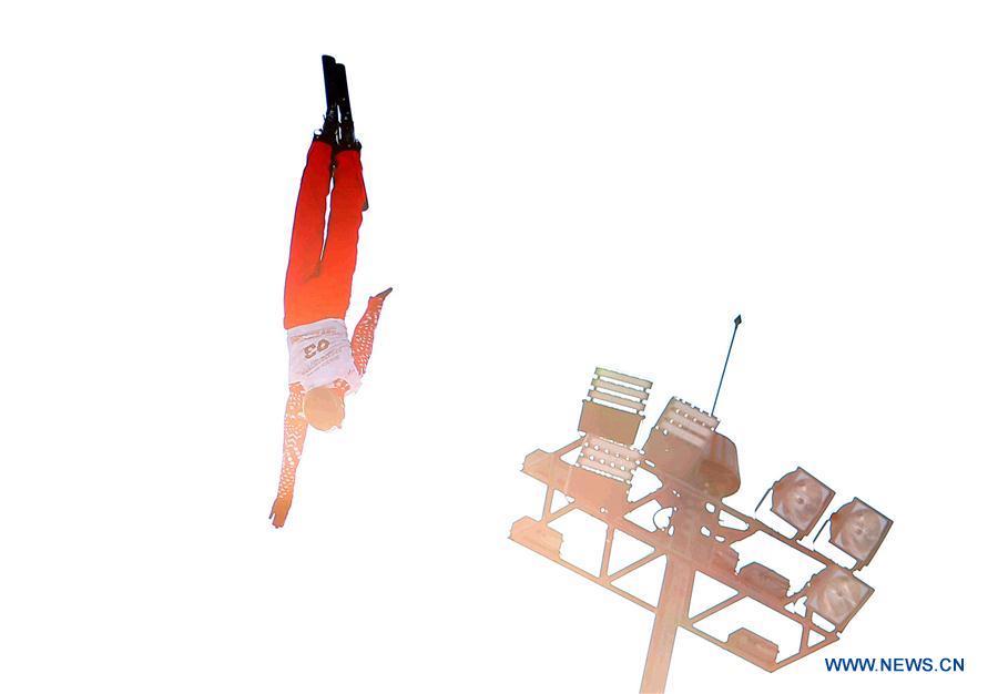 (SP)CHINA-CHANGCHUN-FREESTYLE SKI-AERIAL WORLD CUP-MEN'S FINAL(CN)