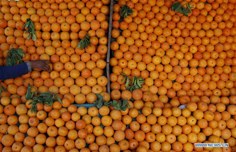 YEMEN-SANAA-DAILY LIFE-ORANGE