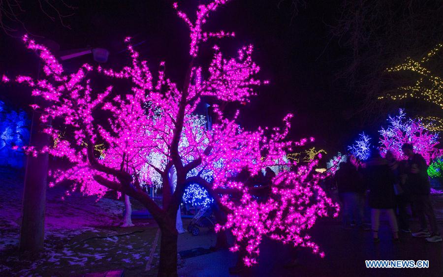 CANADA-TORONTO-AURORA WINTER FESTIVAL