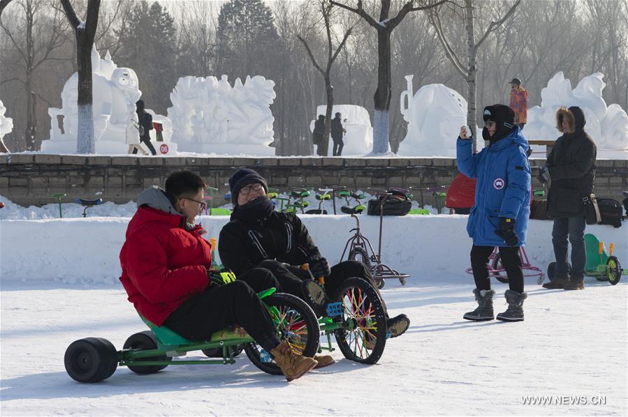 #CHINA-HARBIN-INTERNATIONAL SNOW SCULPTURE ART EXPOSITION (CN)